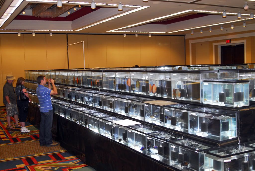 12gShowRoom.jpg