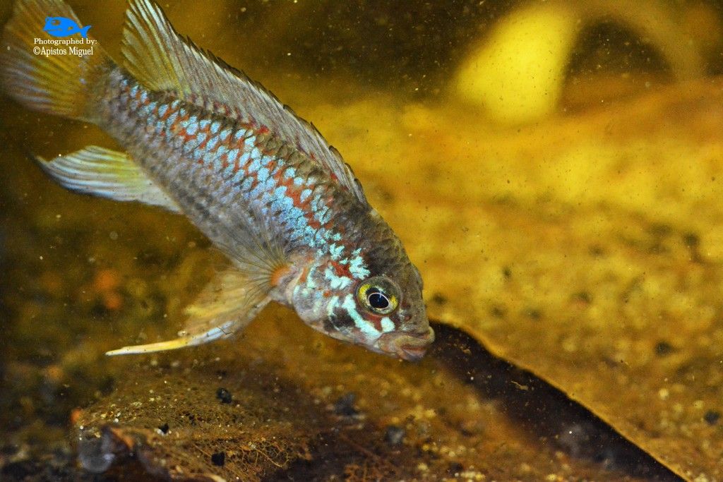 DSC_0174.jpg