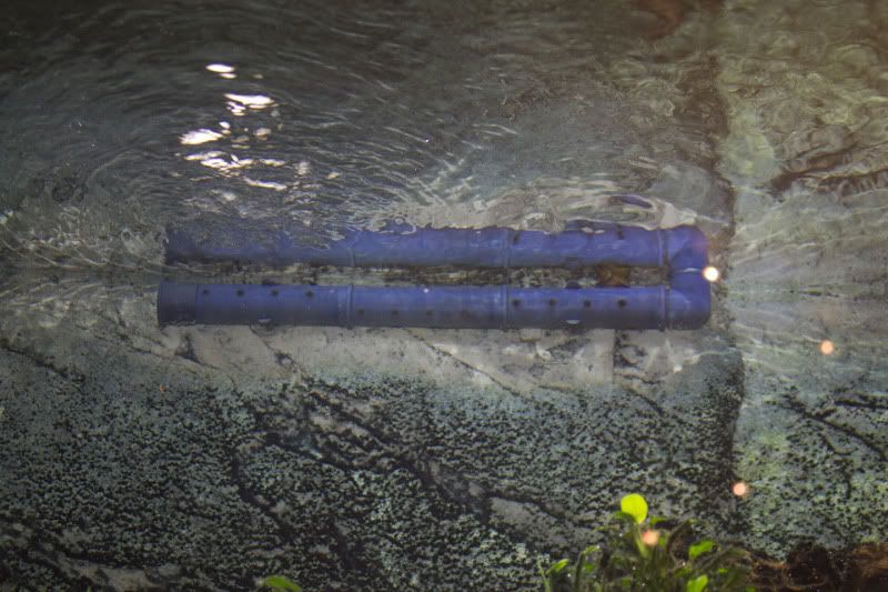 spraybar.jpg