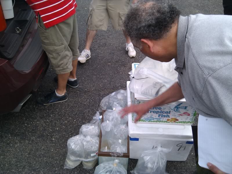 2010-05-02184835.jpg