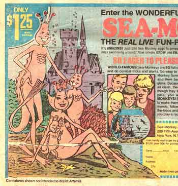 2006_10_13_sea_monkeys.jpg