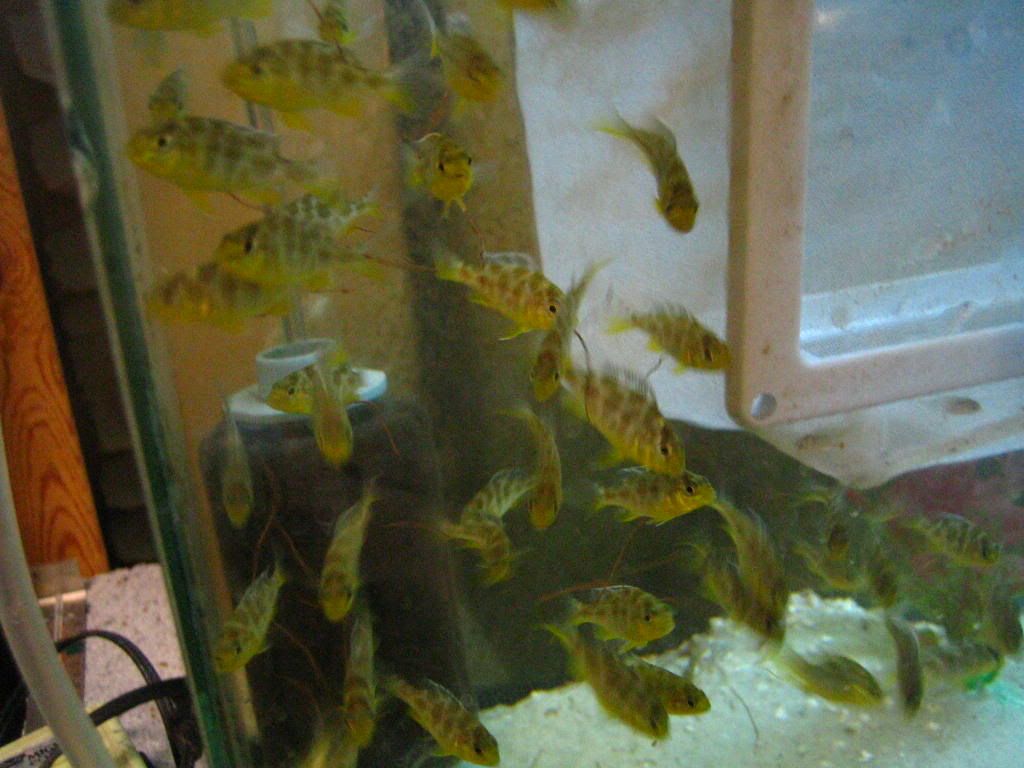IMG_6103.jpg