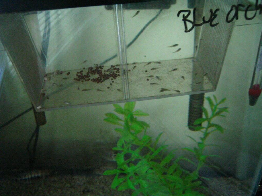 IMG_6100.jpg