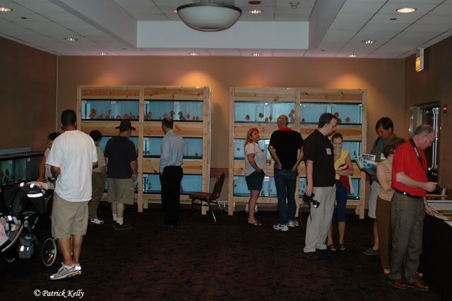 aca2006p.jpg