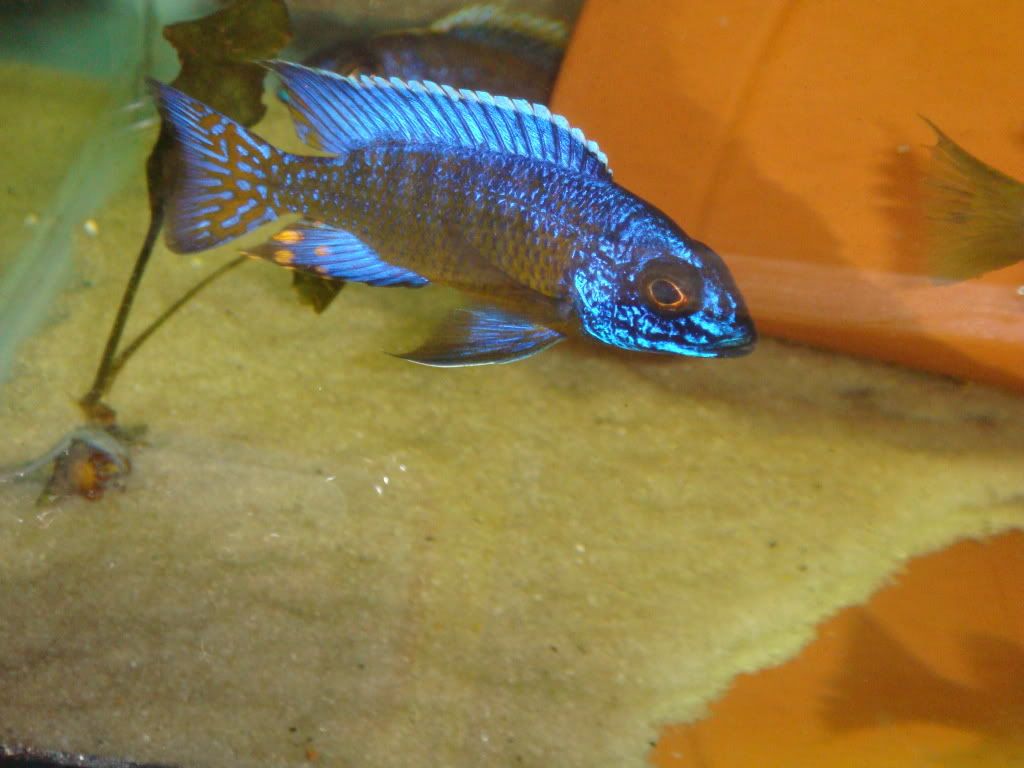 DSC05023.jpg