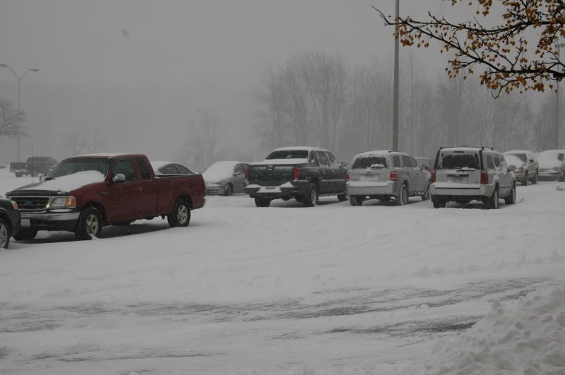 DSC_0001.jpg