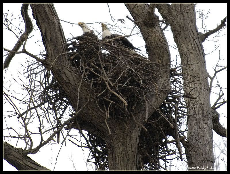 2eStafRdEagles020708.jpg