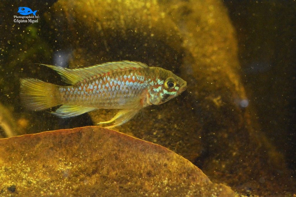 DSC_0159.jpg