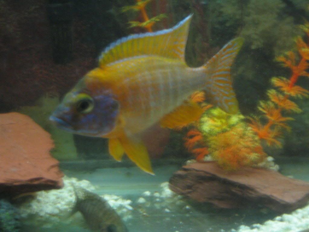IMG_5255.jpg