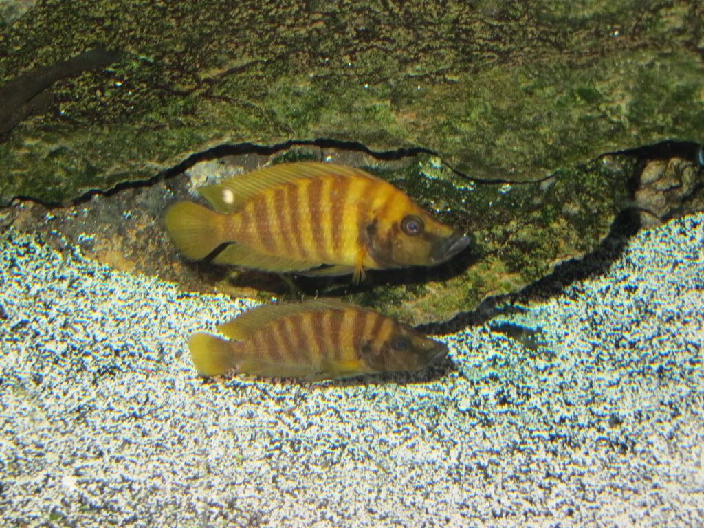 IMG_0720.jpg