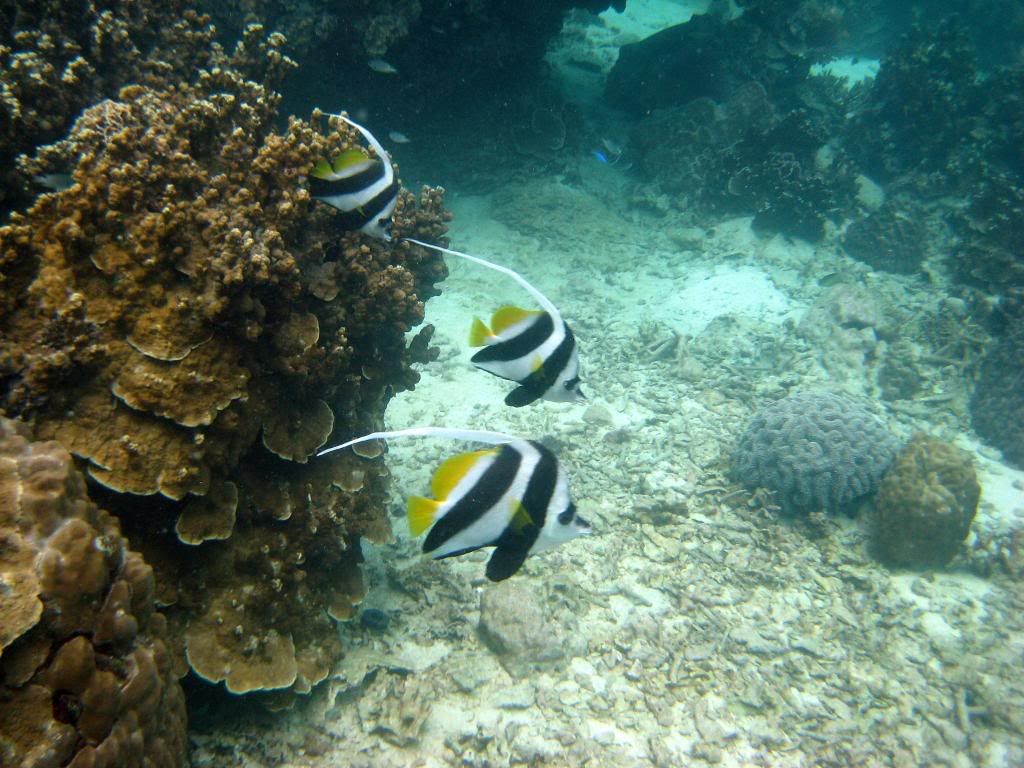 IMG_1032.jpg