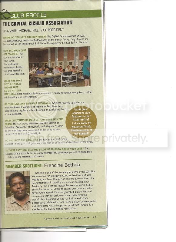scan0007.jpg
