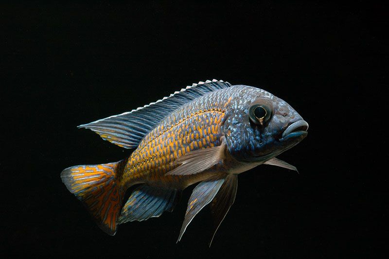 PhotoC_zpsc4f2d79c.jpg