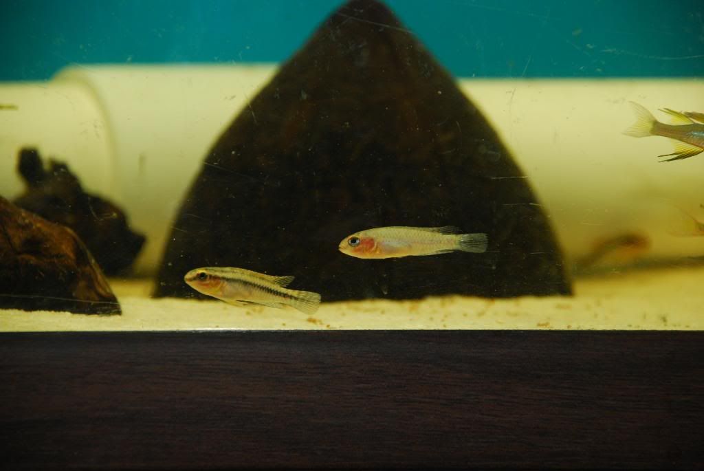 DSC_0620.jpg