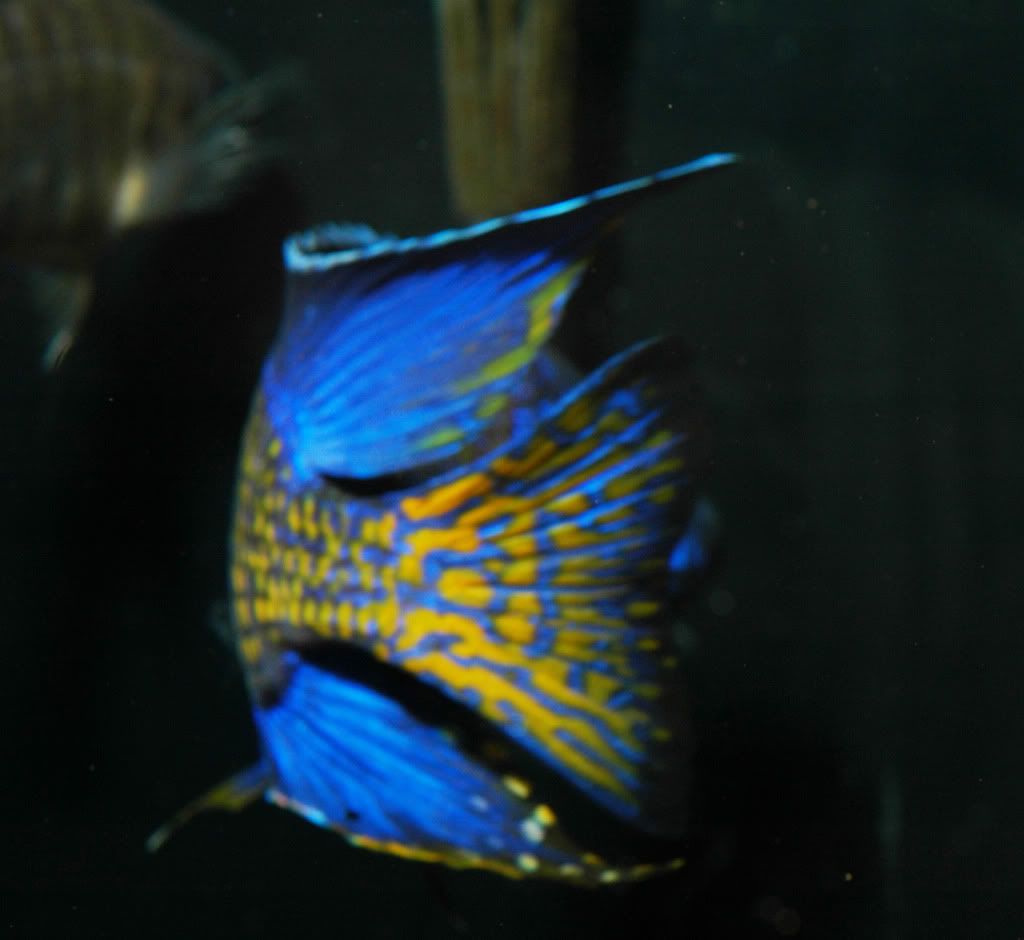 may2010g.jpg
