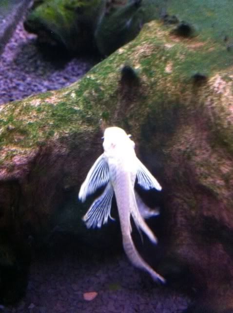 photo-1.jpg