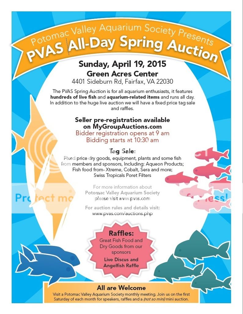 PVAS_Spring_Auction_new_zpsvxy9nnjm.jpg