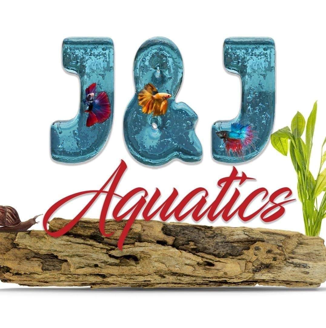 www.jjaquatics.com